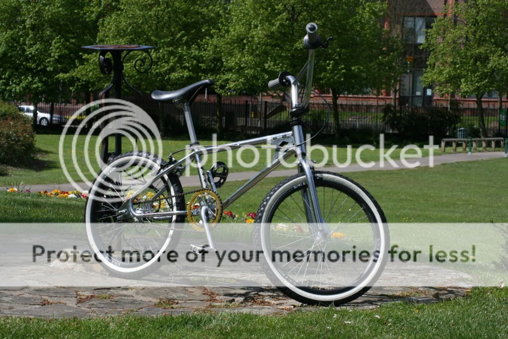 IMG_0366.jpg