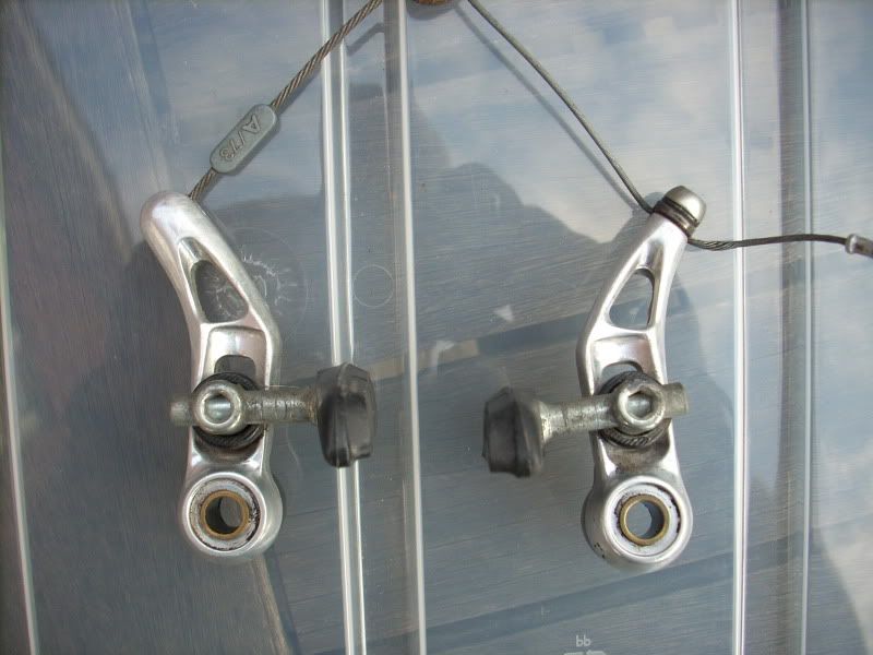 DSCN1030.jpg