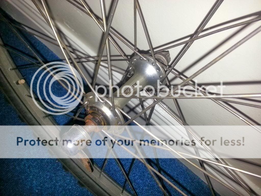 20130926_201109_zpsc966d488.jpg