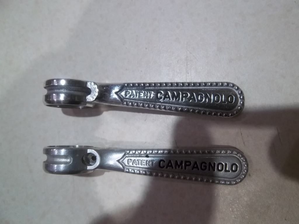 IMGP1647.jpg