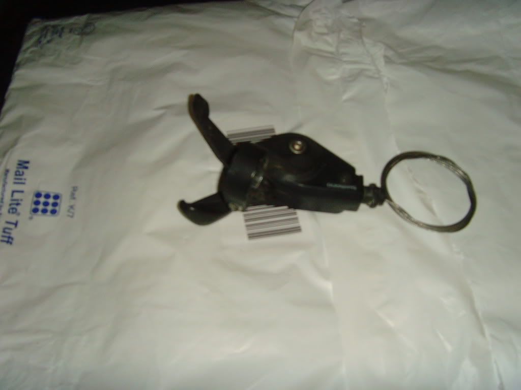 SNV33991.jpg
