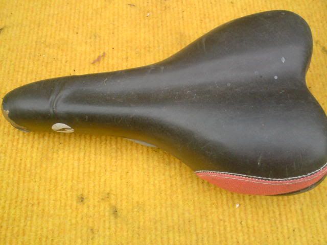 DSC01374.jpg