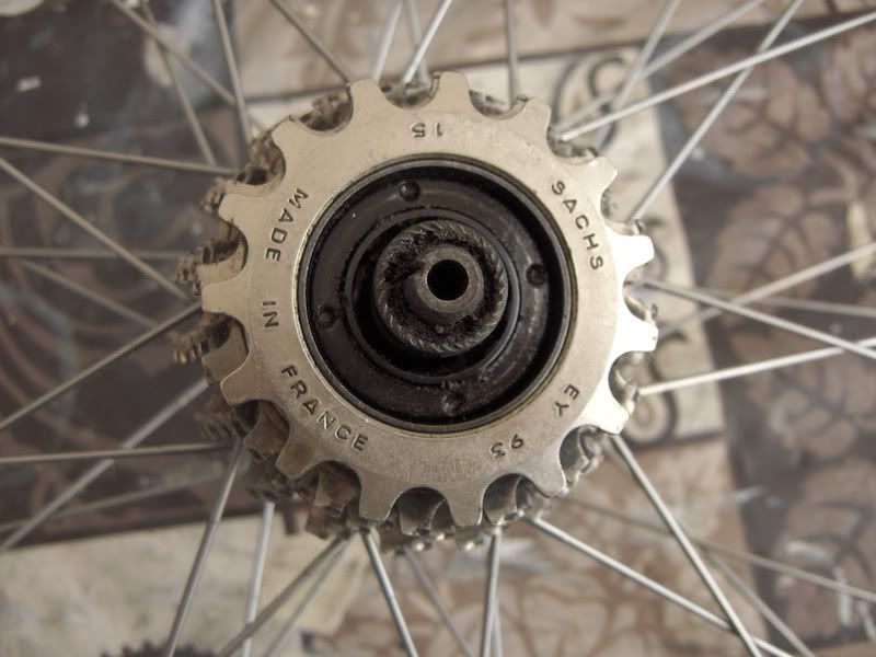Freewheel01.jpg