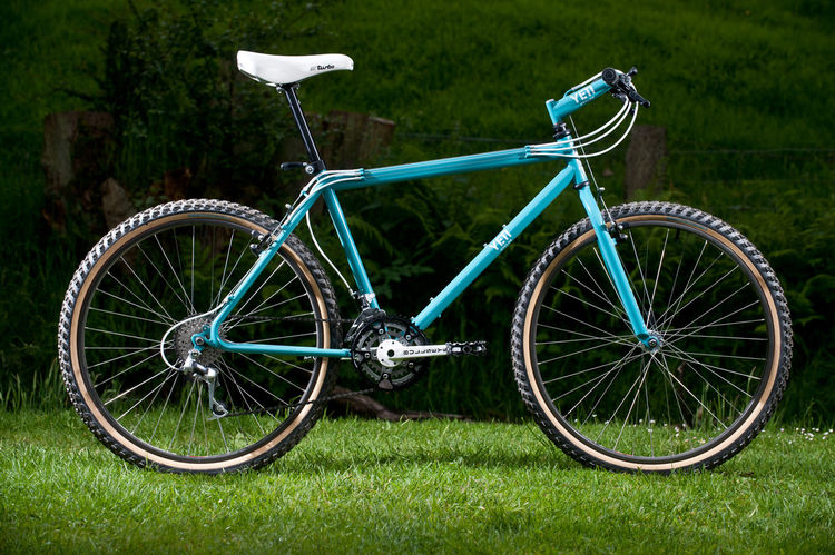 20130108botmdec1203silverfishfro.jpg