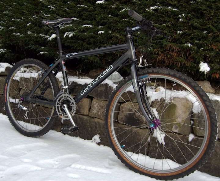 DSC_3367.NEF.jpg