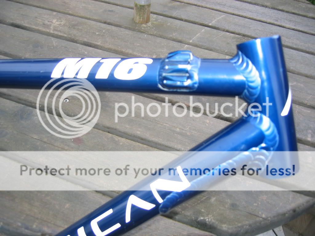 IMG_1787.jpg