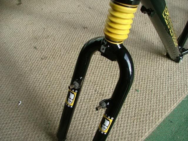 cannondalef900008.jpg