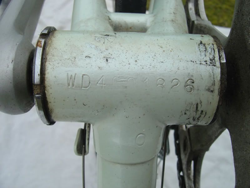 raleighroadace016.jpg