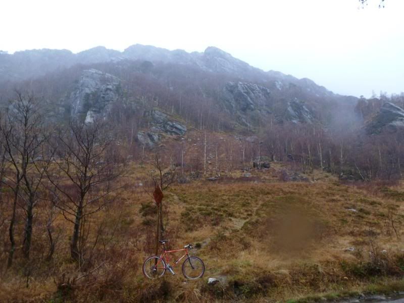 P1000165.jpg