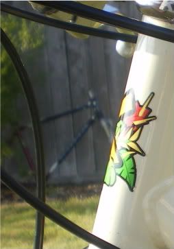 5af7c638.jpg