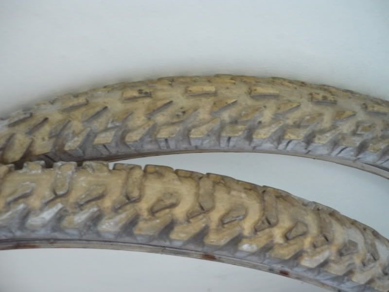 P1000855.jpg