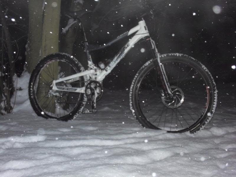 trailsinsnow2010009.jpg
