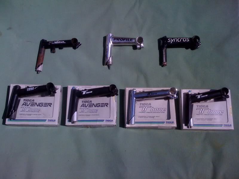 stems.jpg