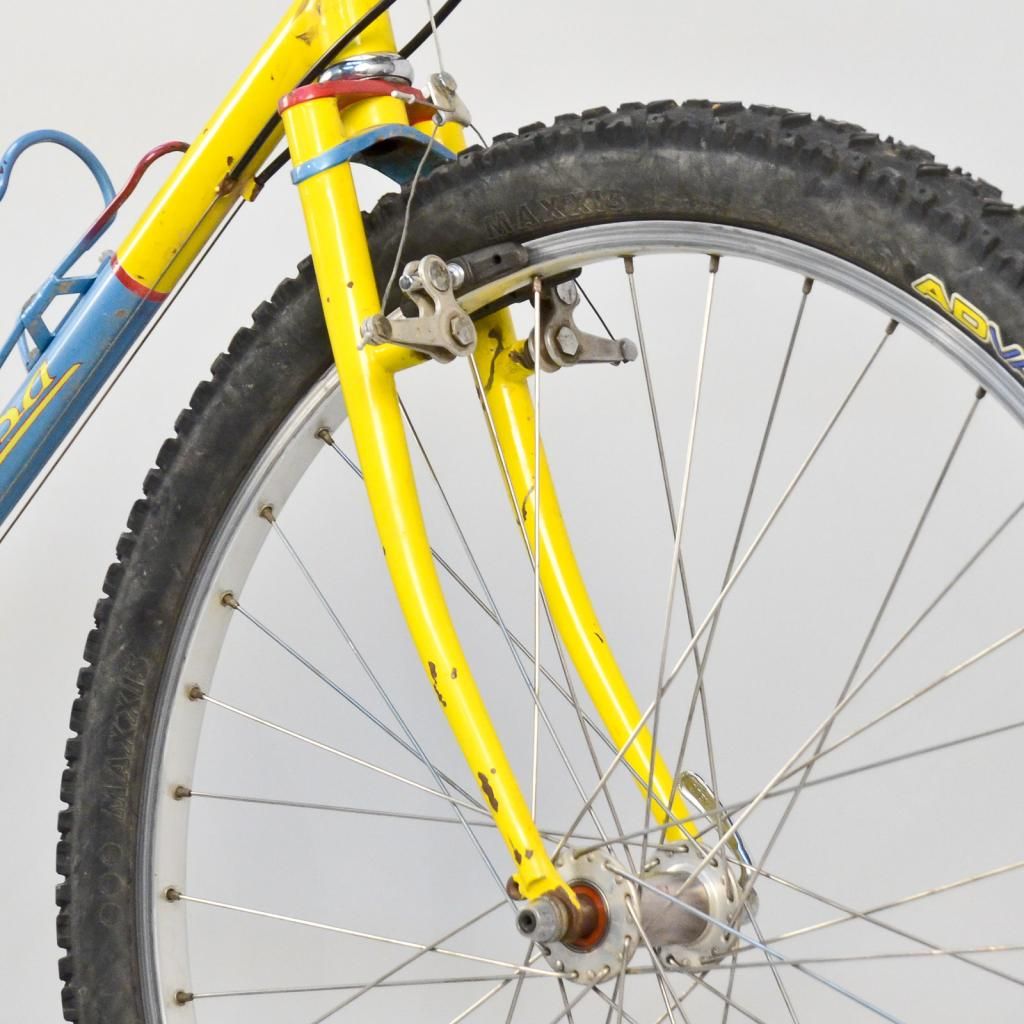 vtgsalsamtb-8.jpg