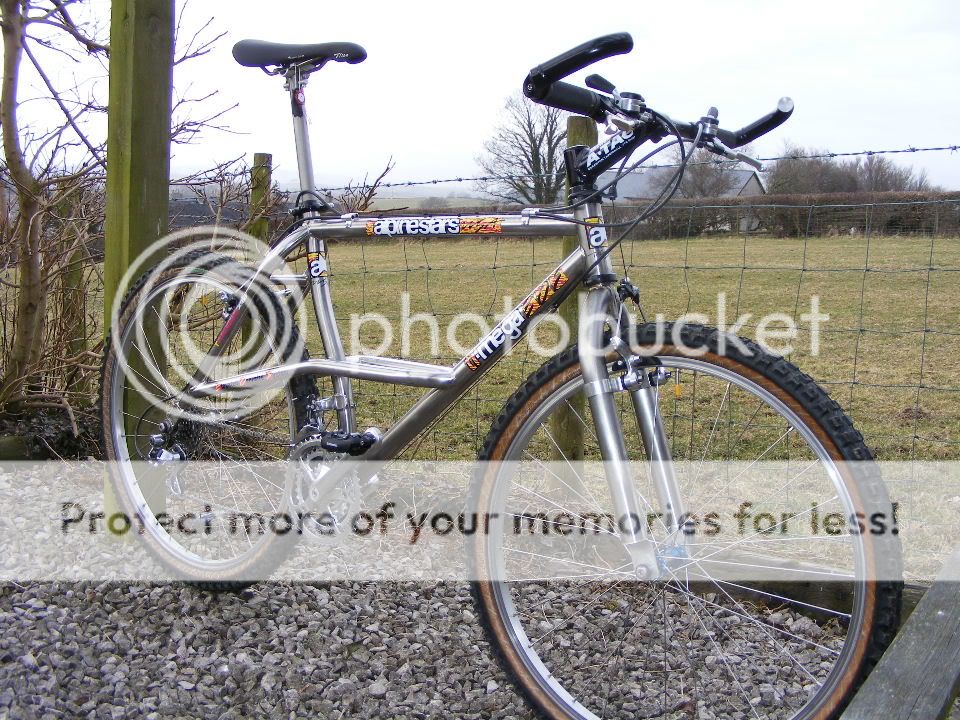 2010_0317bikes0077.jpg