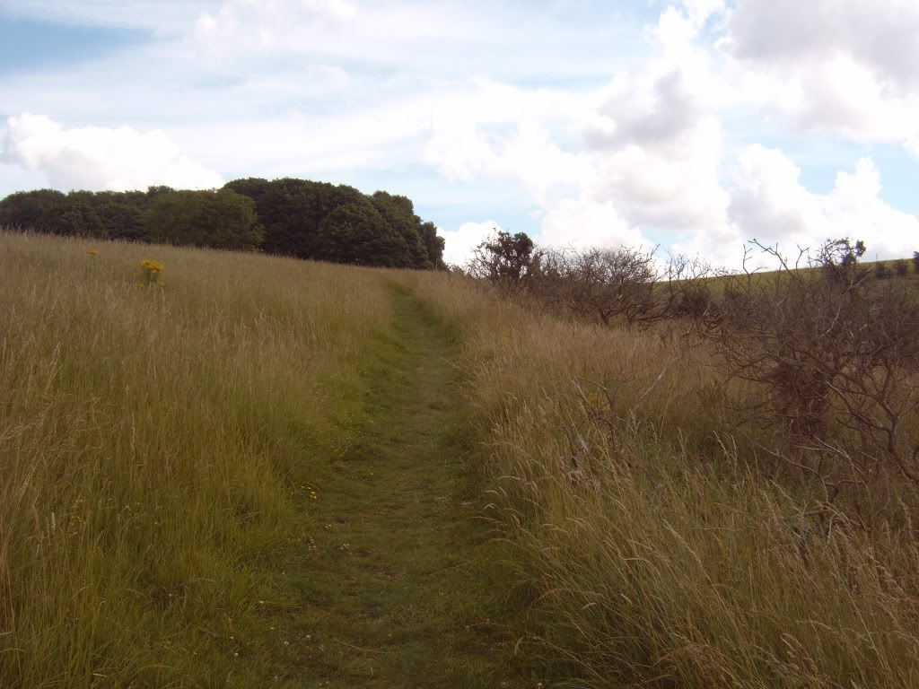 IMG00431.jpg
