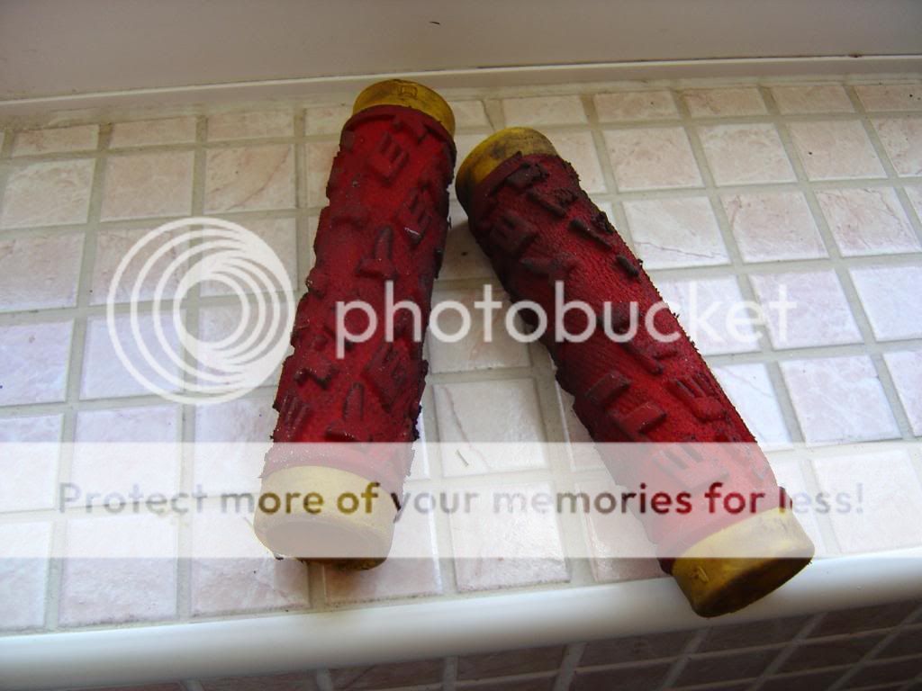 DSC06947.jpg