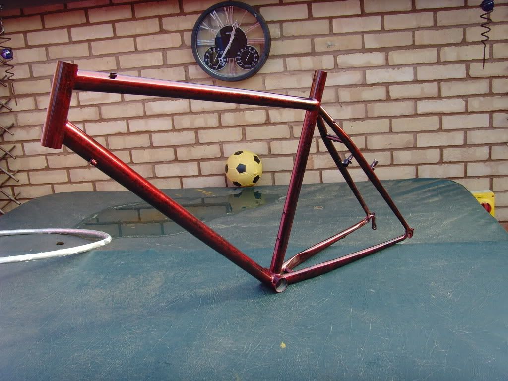 SNV35224.jpg