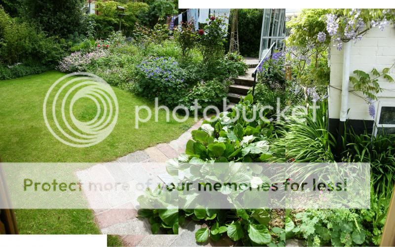 garden_zps911e6d35.jpg