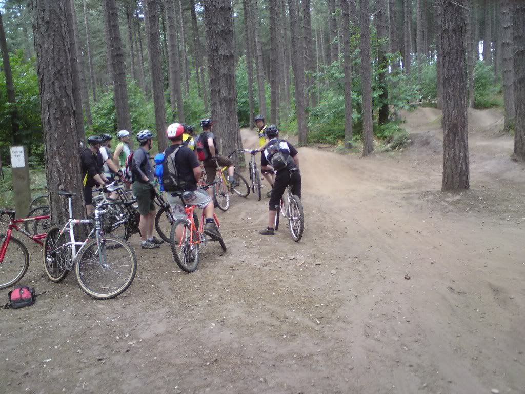 DSC00428.jpg