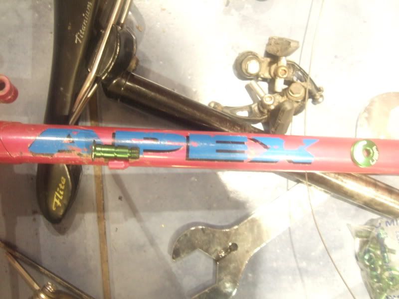 apexfeb009.jpg