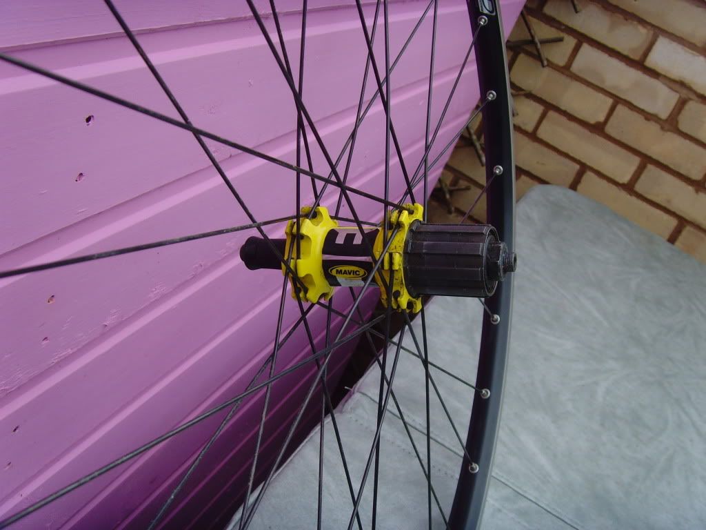 SNV36240.jpg