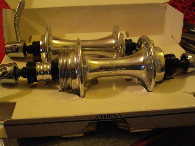 IMGP0315.jpg