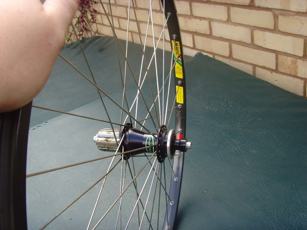 SNV34524.jpg