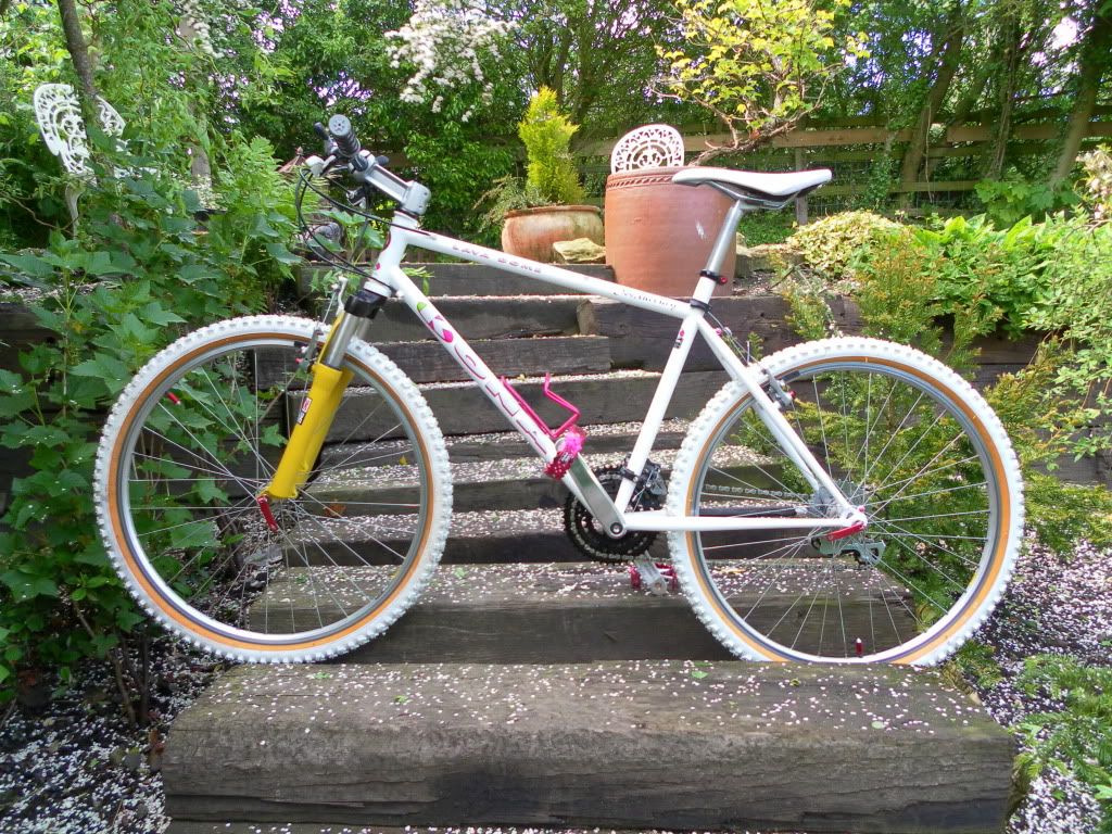 bikes022.jpg