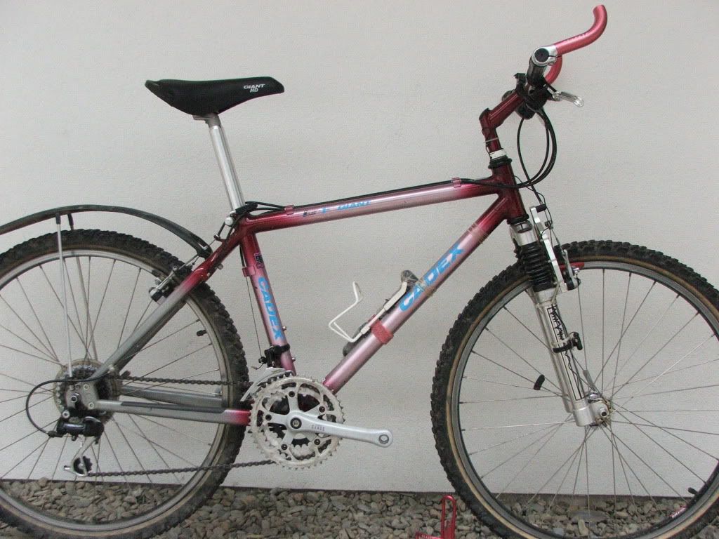 DSCF8133.jpg