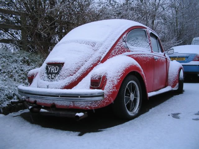 snow2.jpg