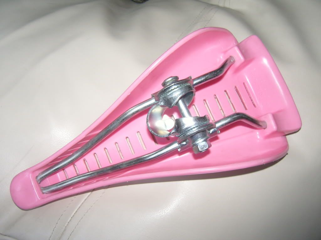 SNC10290.jpg