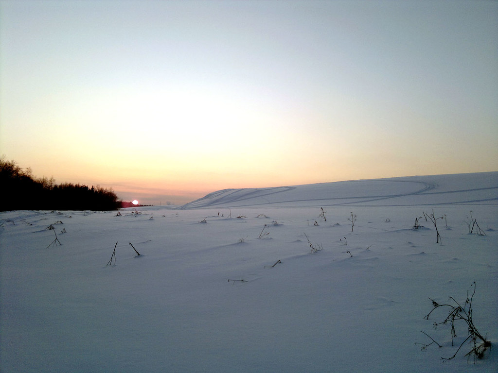 5471965282_57d4cf6c89_b.jpg