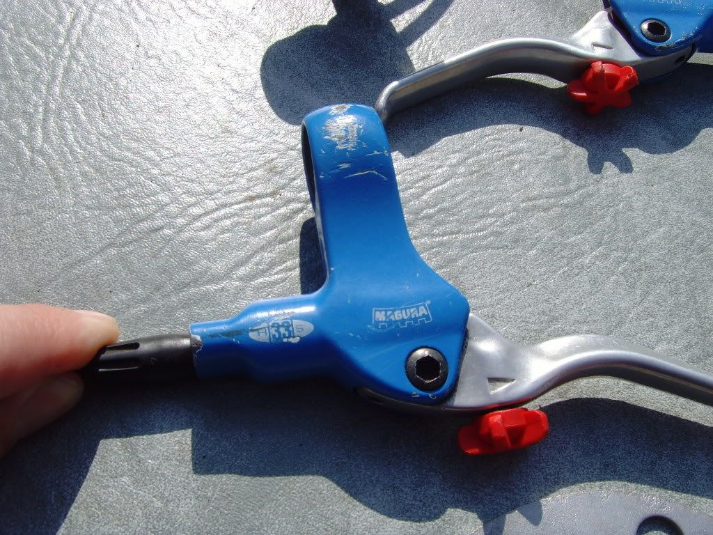 SNV35522.jpg