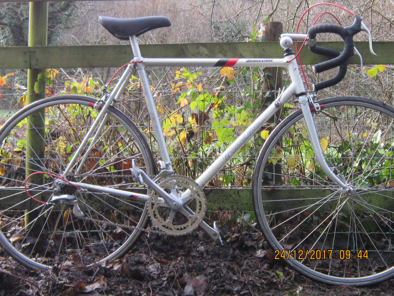 cinelli 自転車 radac taylor
