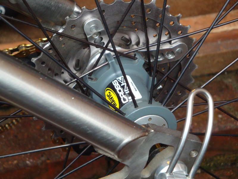 Mavic006.jpg