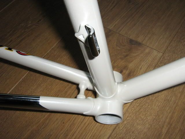cioccr3.jpg