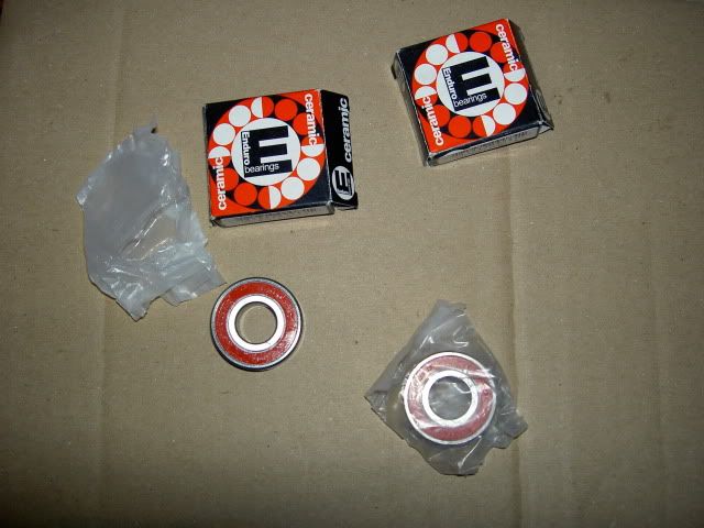 PICT5821.jpg