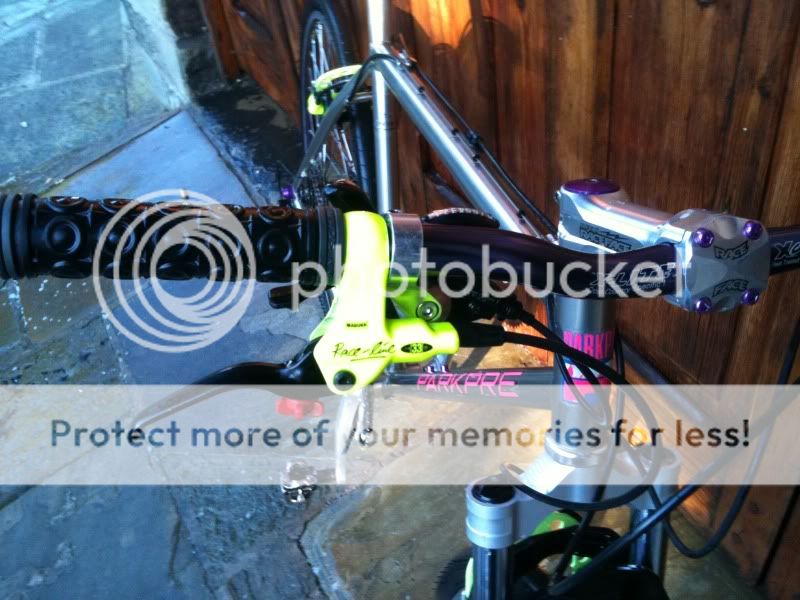 ebaypics013.jpg