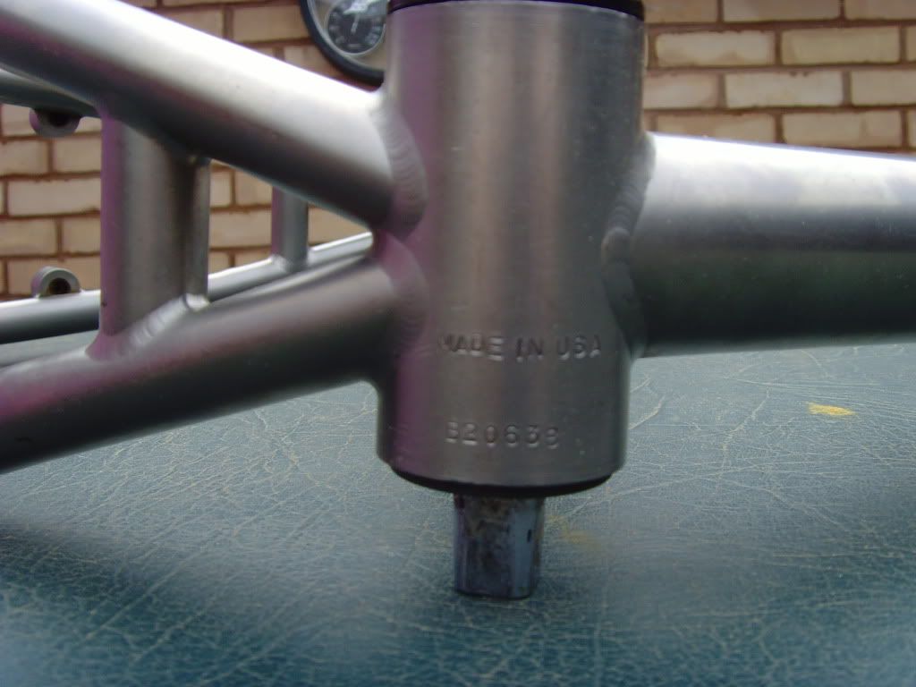 SNV35223.jpg