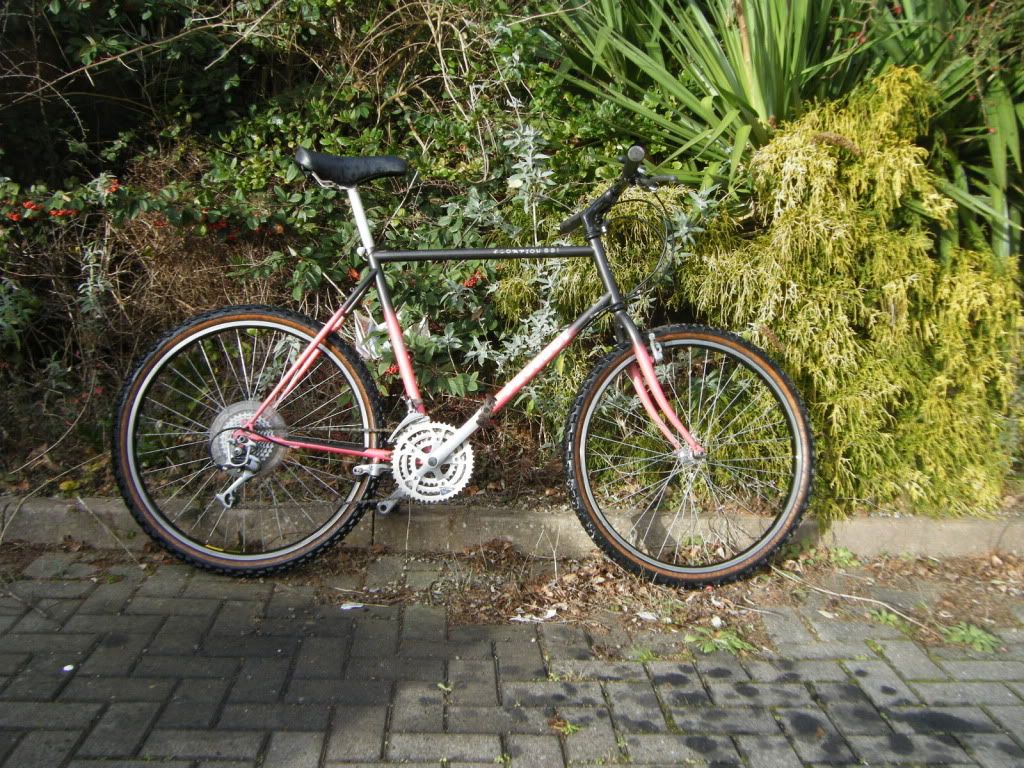 dscf5084.jpg