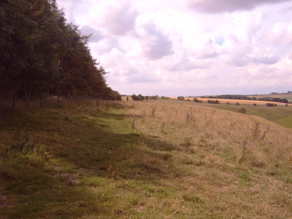 IMG00436.jpg