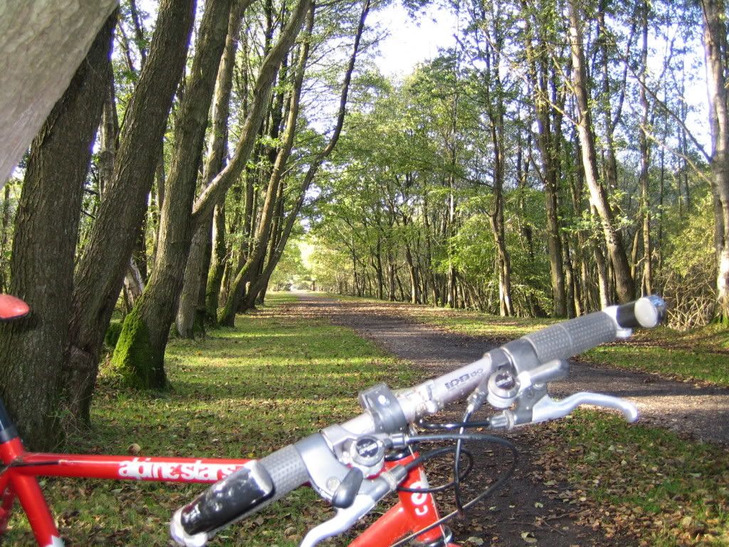 ride002.jpg