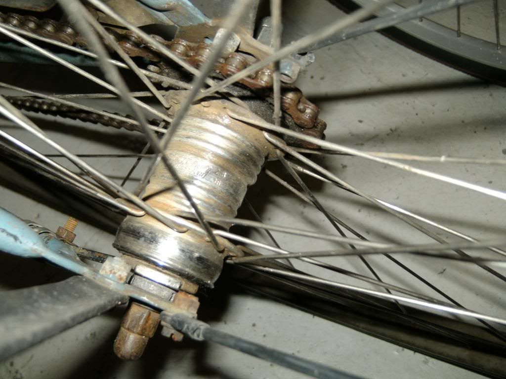 PICT4123_zpsf30c394d.jpg