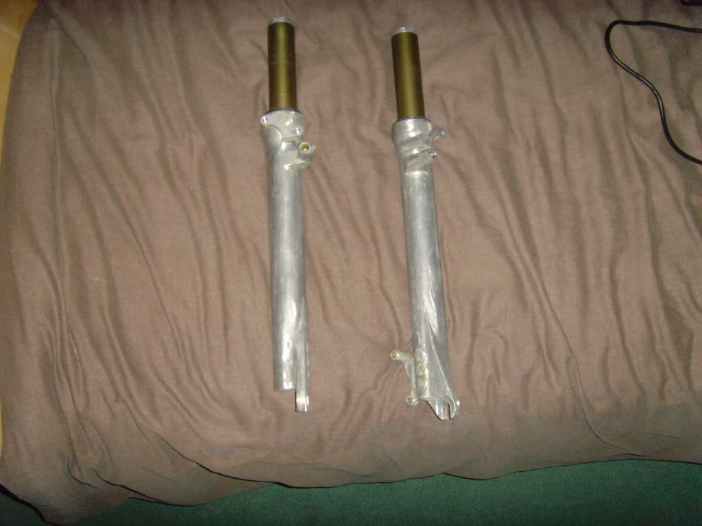 SNV34013.jpg