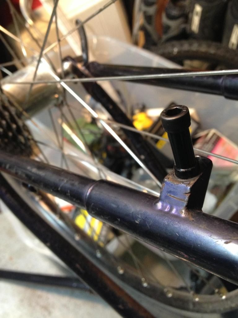 bonty18_zps09ce993f.jpg