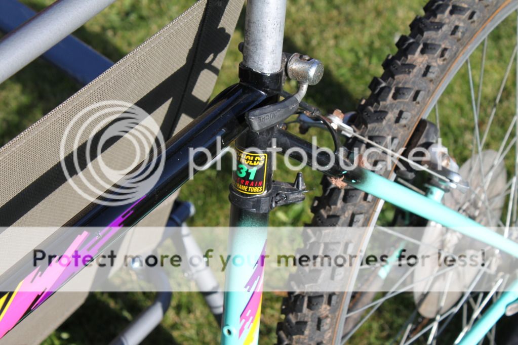IMG_3694.jpg