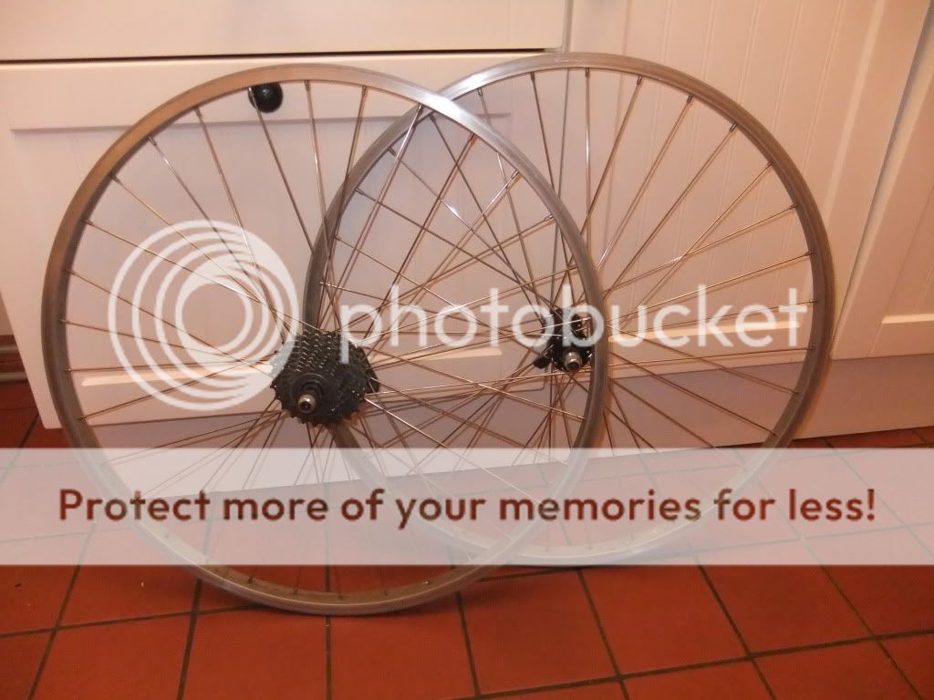 DSCF3548.jpg