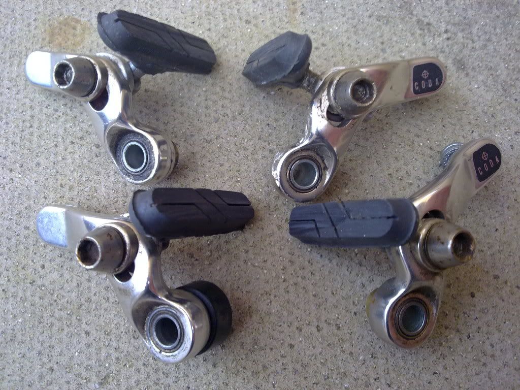 03112009163.jpg