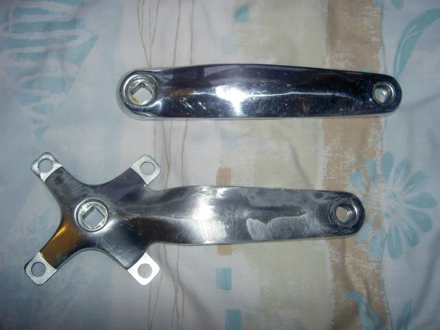 PICT5280.jpg